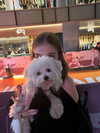 llinolinaa Altpins Profile Picture