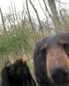 dante_yangpa Altpins Profile Picture