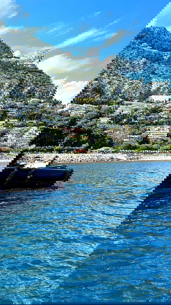 taylor.creeden taylor.creeden archive image