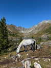 gritsa.k Altpins Profile Picture