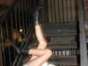 suzynorthway Altpins Profile Picture
