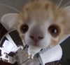 mariagabrielasantos Altpins Profile Picture