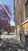 federica.piccinni Altpins Profile Picture