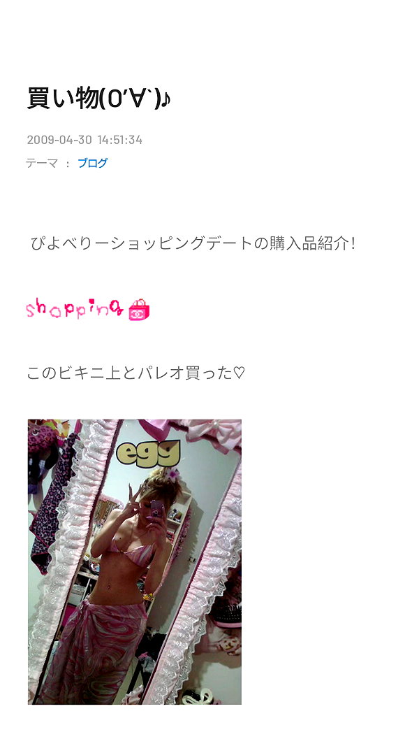piyokoblog archive image