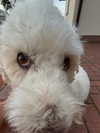 danamrts Altpins Profile Picture