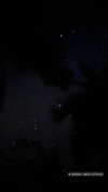 yifan.liii Altpins Profile Picture