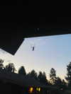 0nlygrlinthewrld Altpins Profile Picture