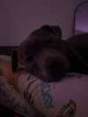 _m_a_y_c_ Altpins Profile Picture
