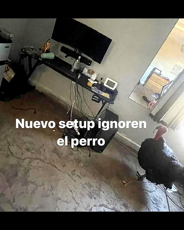 leanbeefpatty instagram image archive image