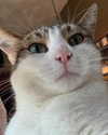 malmalirl Altpins Profile Picture