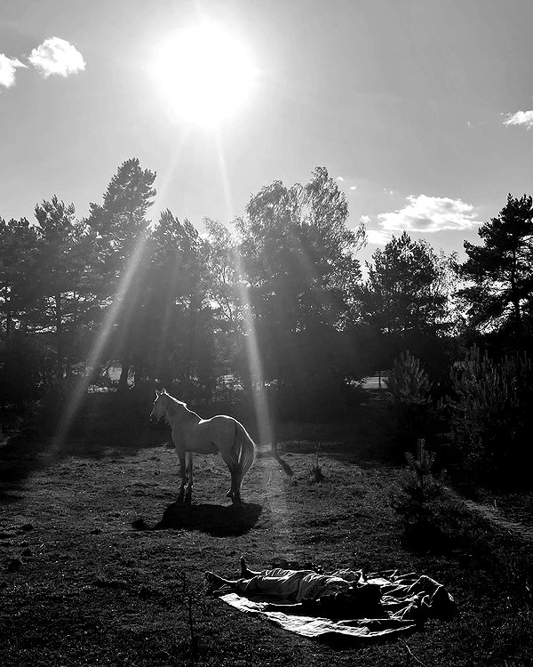 ninastodden instagram image archive image