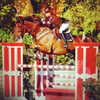 gigihadid Altpins Profile Picture