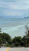 shakeddri Altpins Profile Picture