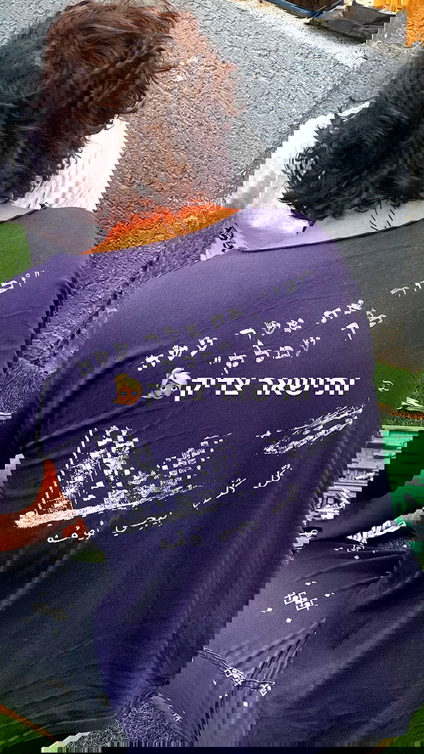 ___shachar image ~ Altpins