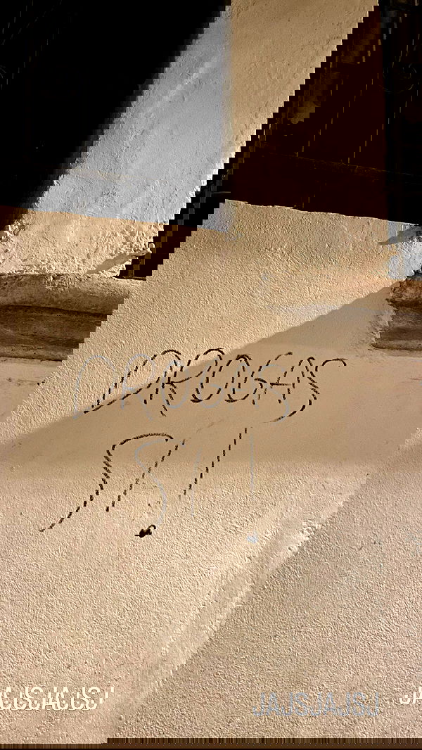 shunli__mei image ~ Altpins