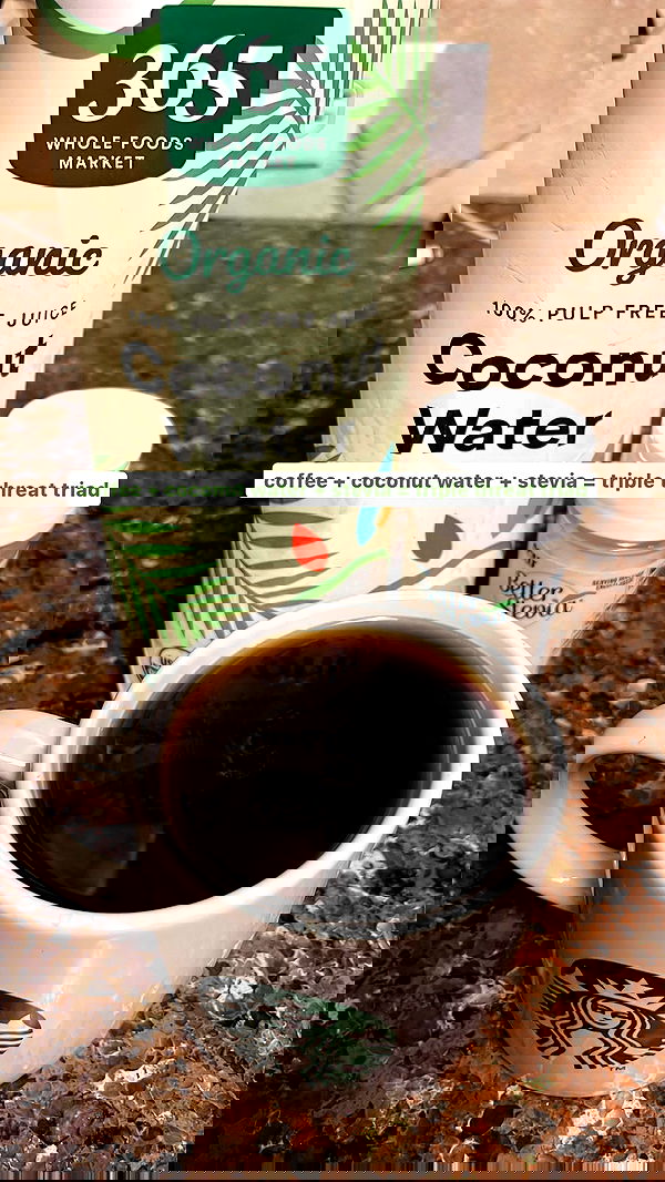 thelizzyporter thelizzyporter archive image