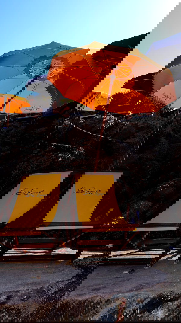 taylor.creeden taylor.creeden archive image