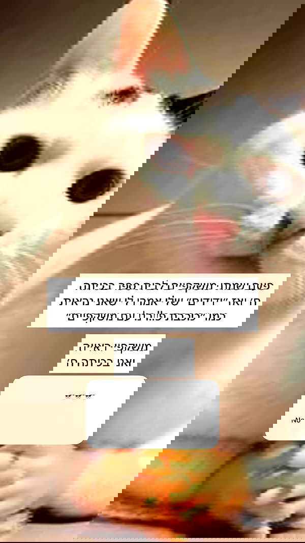 itsilanosh itsilanosh archive image