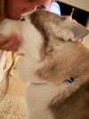 gabimfmoura Altpins Profile Picture