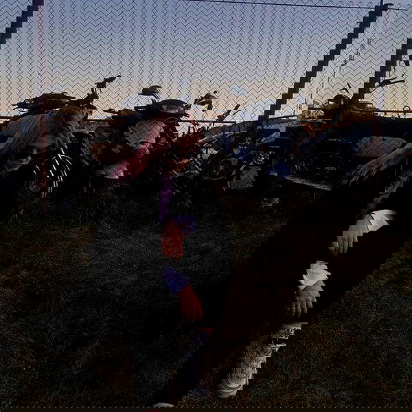 annfigmax image ~ Altpins