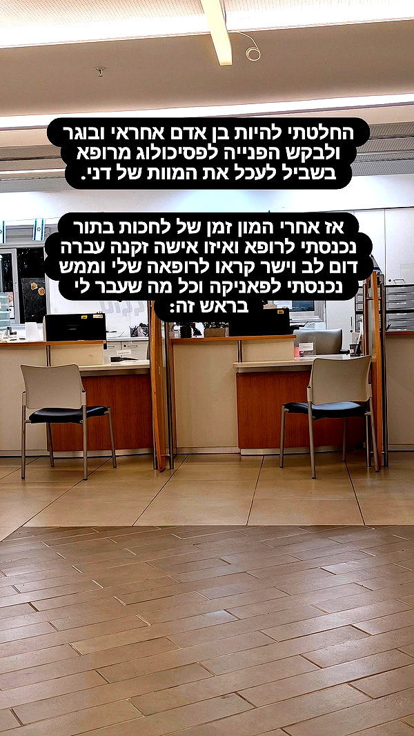 noy__erel noy__erel archive image