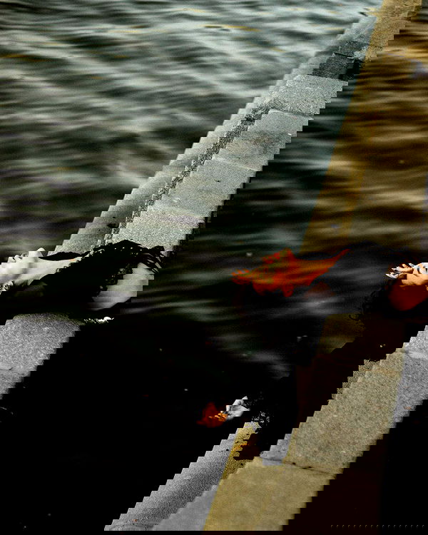 kkulakovaa image ~ Altpins