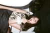 _jyying Altpins Profile Picture