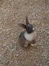 alishevs Altpins Profile Picture
