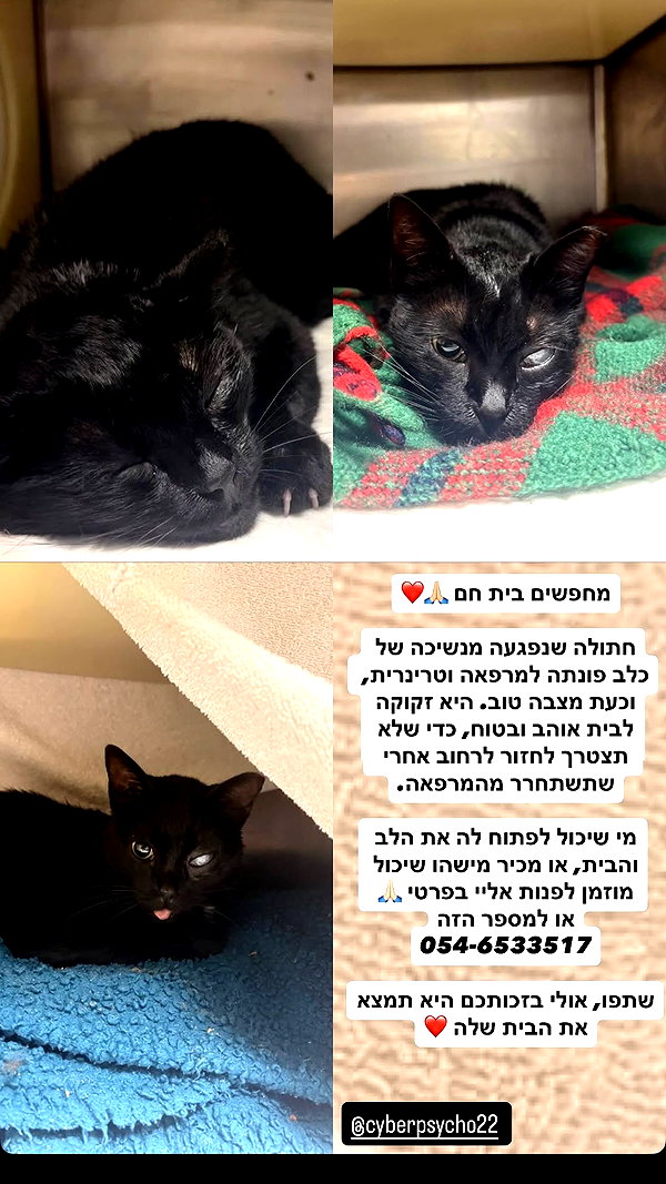 mishel116 instagram image archive image
