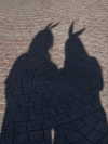 _broock_ Altpins Profile Picture