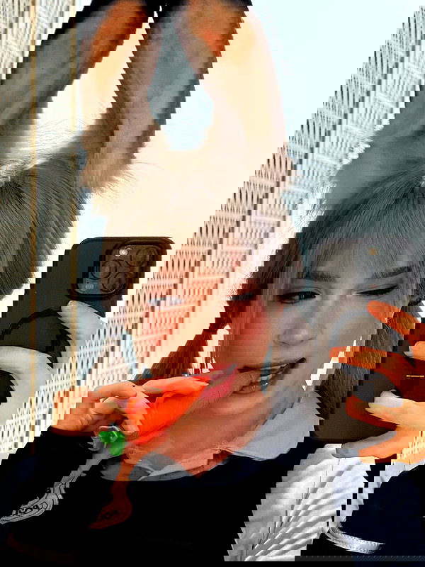 swfx_real swfx_real archive image