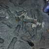 bugz4brainz Altpins Profile Picture