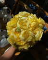 mishel_d_ Altpins Profile Picture