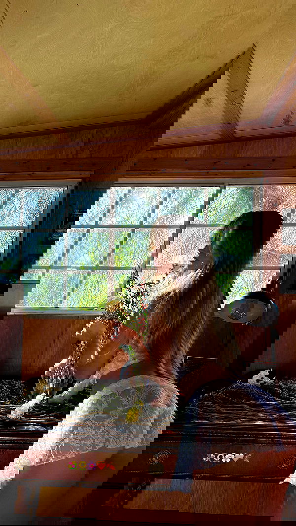 carolinezalog carolinezalog archive image