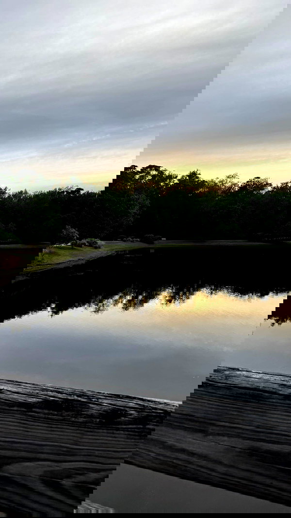 zommmbri zommmbri archive image