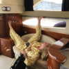 adele Altpins Profile Picture