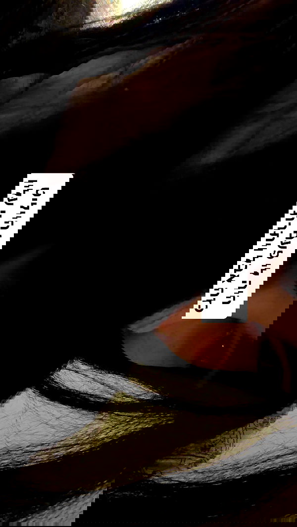 onlmeow onlmeow archive image