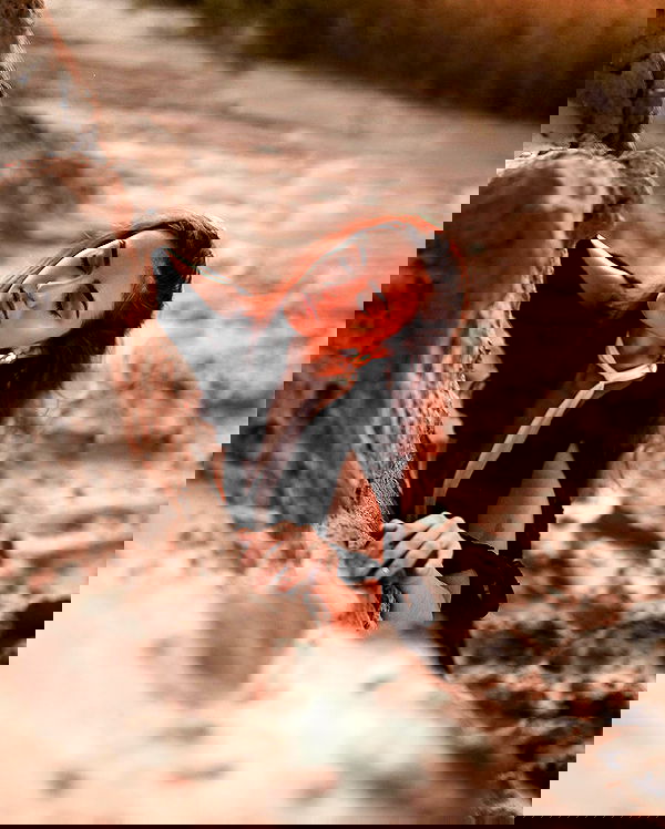 kkulakovaa image ~ Altpins