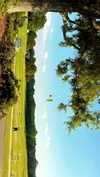 elizabethcampbelljones Altpins Profile Picture