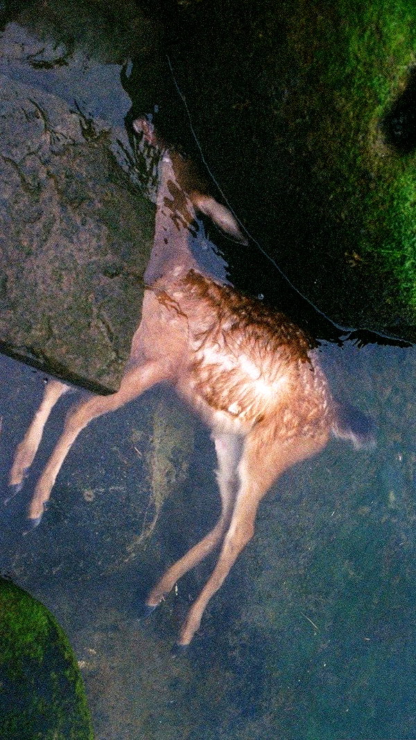 leanxhrt instagram image archive image