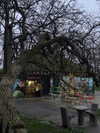 mollieruck Altpins Profile Picture