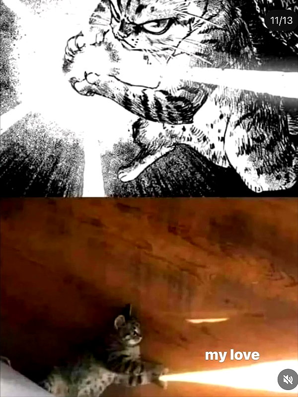 maiden_lifts instagram image archive image