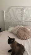 babydollslumber Altpins Profile Picture