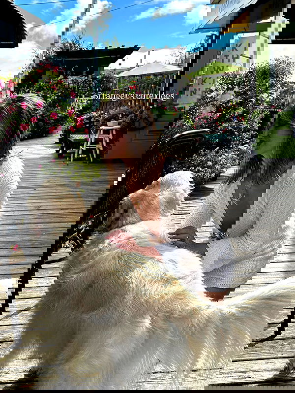 taylor.creeden taylor.creeden archive image