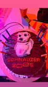 romxcohen Altpins Profile Picture