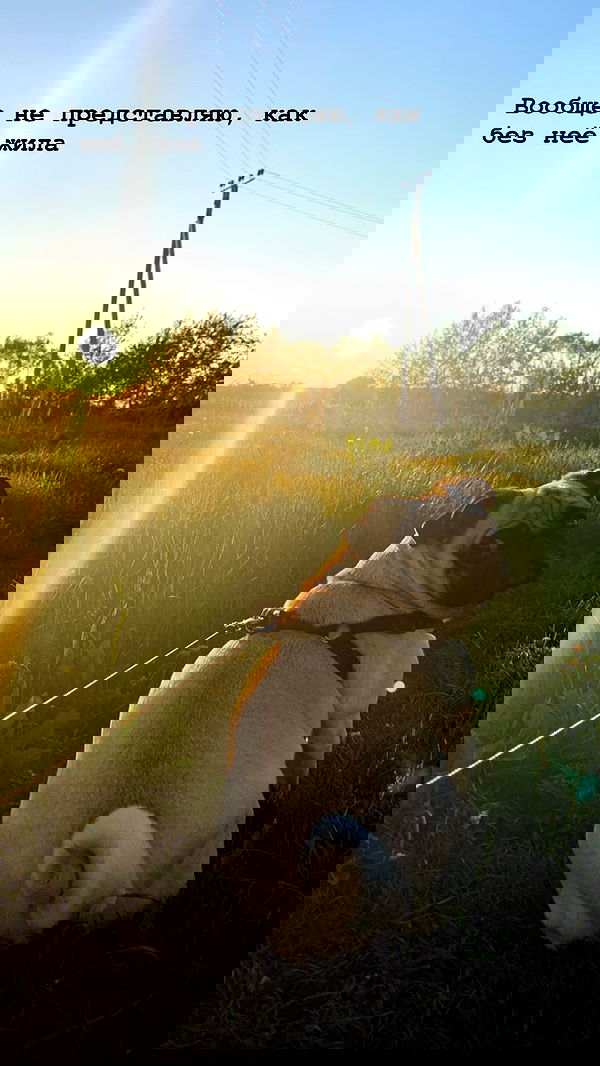 nyityam nyityam archive image