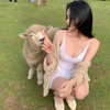 daxbin Altpins Profile Picture
