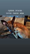 alma.almog Altpins Profile Picture