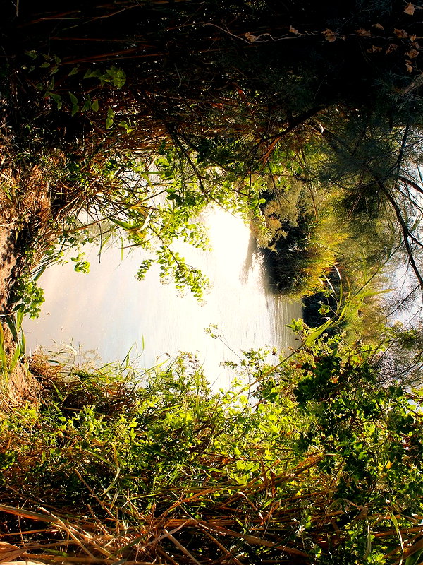 rei.sigalov instagram image archive image