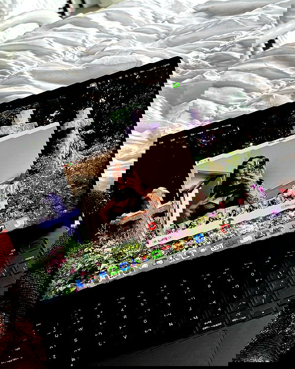 jtilb image ~ Altpins